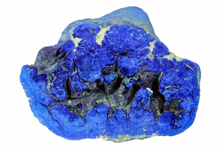 Vivid Blue, Cut/Polished Azurite Nodule - Siberia #175578